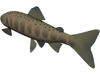 Amago 3D Model preview