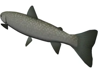 Amemasu 3D Model preview