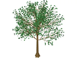 Arboli Tree 3D Model preview