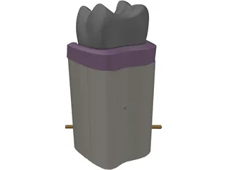 Molar Cutaway 3D Model preview