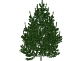 Pine Tree 3D Model preview