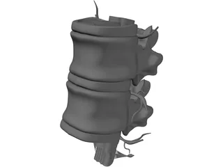 Lumbar Vertebrae 3D Model preview
