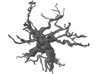 Gnarled Tree 3D Model preview