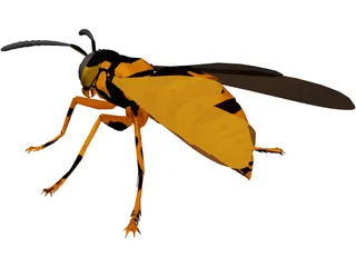 Wasp 3D Model preview