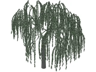 Willow Tree 3D Model preview
