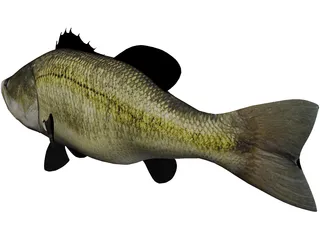 Largemouth Bass 3D Model preview