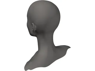 Head Female 3D Model preview