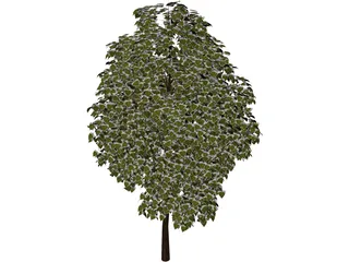 Pine Wood Tree 3D Model preview