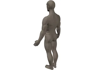 Human 3D Model preview