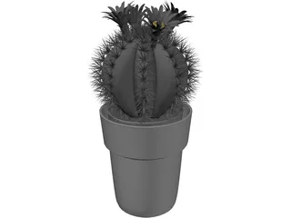 Cactus Pottet Round 3D Model preview
