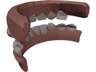 Jaw and Teeth 3D Model preview