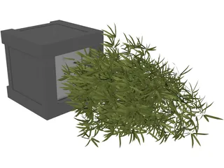 Bamboo Plant 3D Model preview