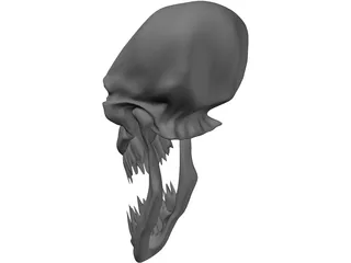 Monster Skull 3D Model preview