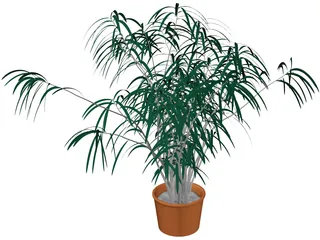 Indoor Plant 3D Model preview