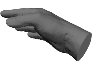 Right Hand Male 3D Model preview