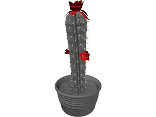 Castus 3D Model preview