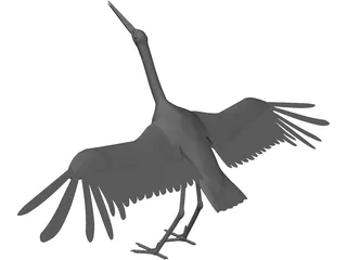 Ciconia Stork 3D Model preview