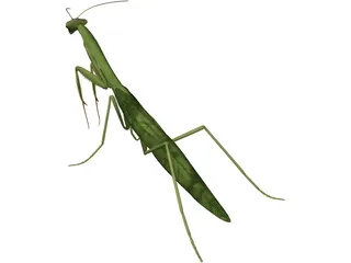 Mantis Praying 3D Model preview