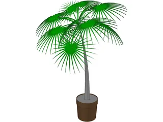 Palm Tree Plant 3D Model preview
