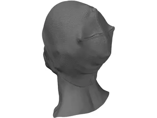 Head for Printing Decimated 3D Model preview
