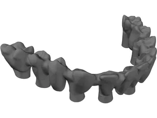 Reduced Mandibula Arcade 3D Model preview