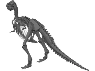 T-Rex Skeleton 3D Model preview