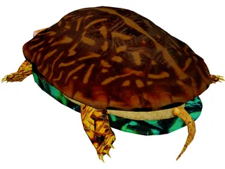 Turtle 3D Model preview