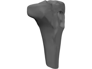 Human Knee 3D Model preview