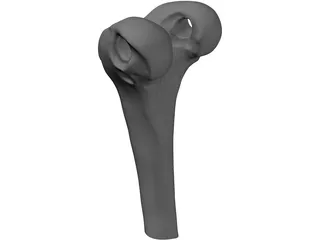 Human Knee 3D Model preview