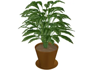 Spathiphyllum 3D Model preview