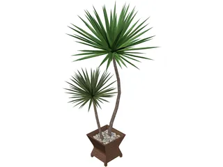 Yucca Plant 3D Model preview