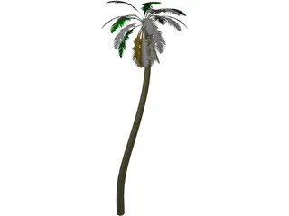 Tree Palm 3D Model preview