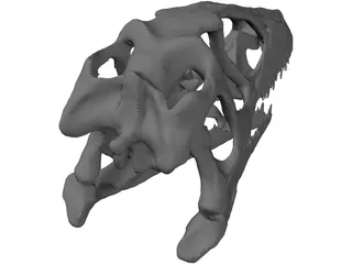 Dinosaur Skull 3D Model preview