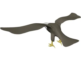 Eagle Bald 3D Model preview