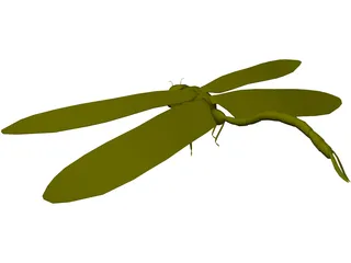 Dragon Fly 3D Model preview