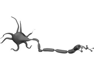 Neuron 3D Model preview