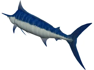Marlin Blue 3D Model preview