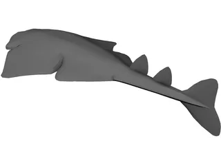 Angel Shark 3D Model preview
