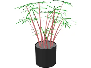 Cyperus Alternifolius 3D Model preview