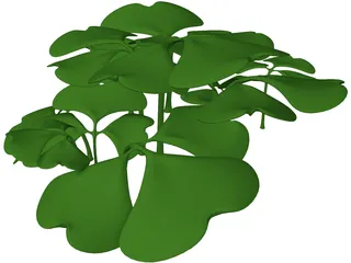 Clover Patch 3D Model preview
