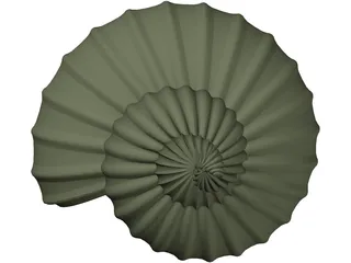 Shell Sea 3D Model preview
