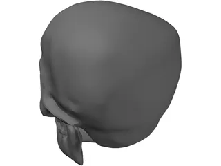 Skull Complete with Jaw Bone and Teeth 3D Model preview
