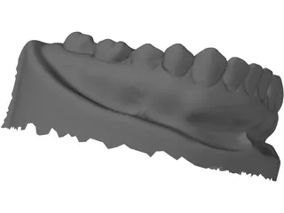 Teeth 3D Scanned 3D Model preview