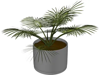 House Plant 3D Model preview