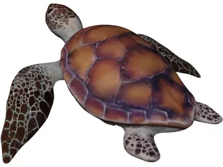 Turtle 3D Model preview
