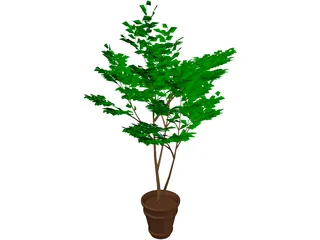 Potted Tree 3D Model preview
