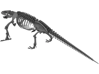 Komodo Dragon Skeleton 3D Model preview