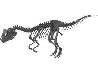 Allosaurus Skeleton 3D Model preview