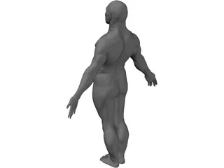 Male Body 3D Model preview