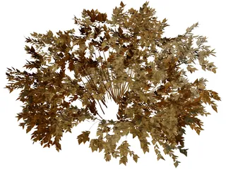 Onyx Bush 3D Model preview